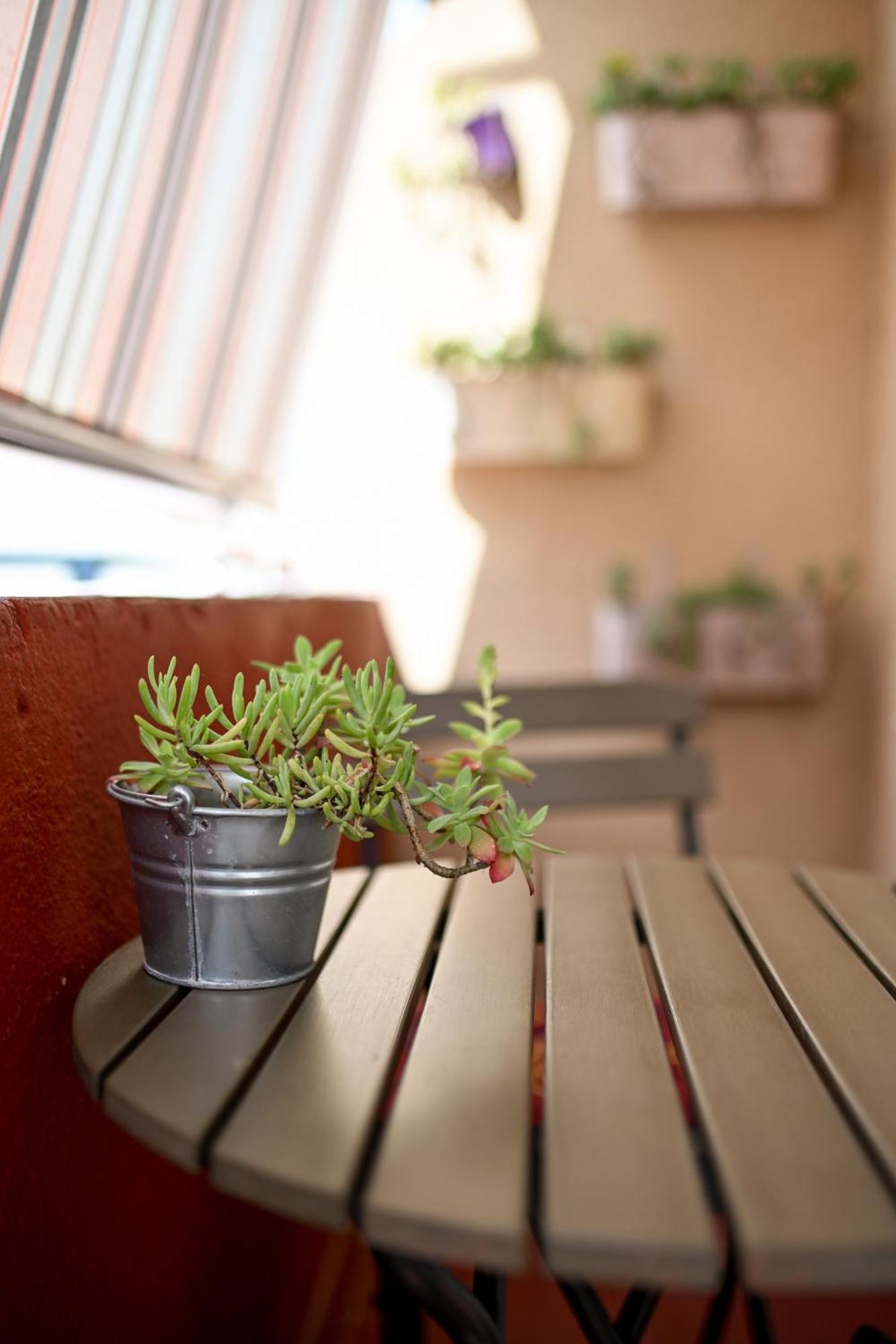 Near Zadar City Center Apartment With Free Parking And Air Condition In Each Room Ngoại thất bức ảnh